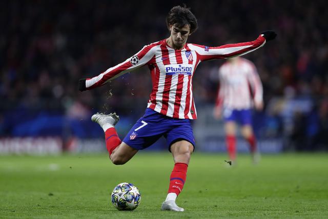 尽管哈利伯 尽管哈利伯